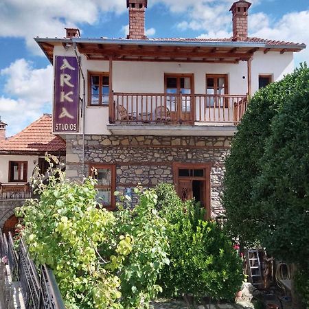 Arka Metsovo Hotel Buitenkant foto