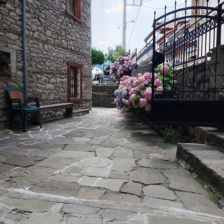 Arka Metsovo Hotel Buitenkant foto