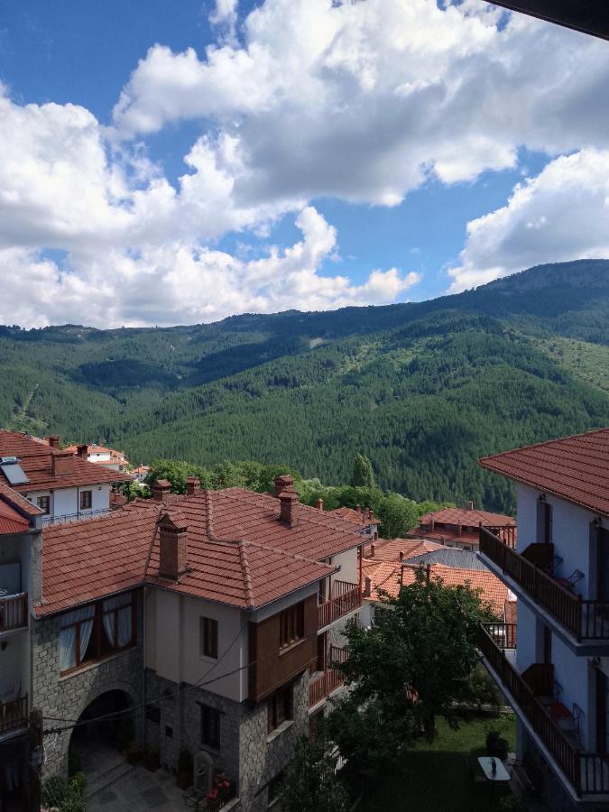 Arka Metsovo Hotel Buitenkant foto