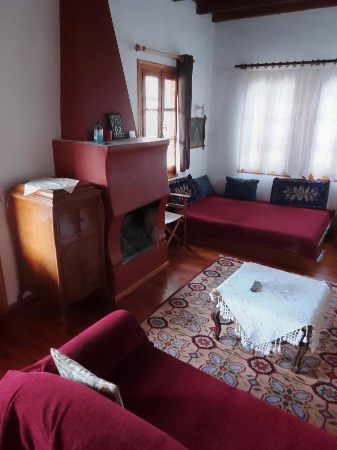 Arka Metsovo Hotel Buitenkant foto