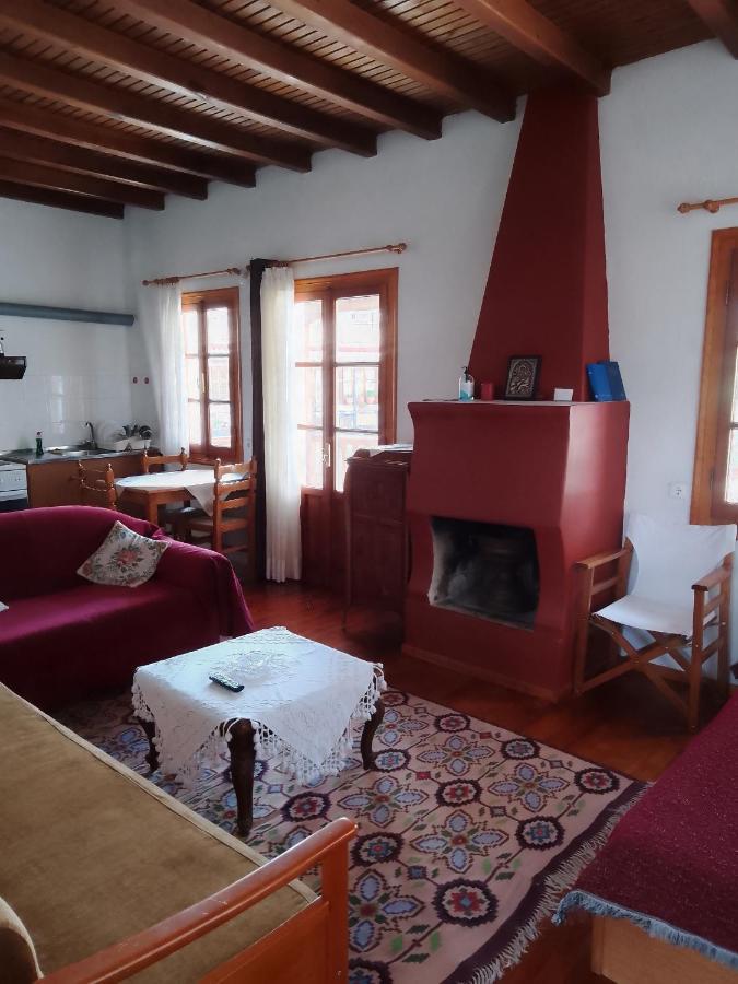 Arka Metsovo Hotel Buitenkant foto