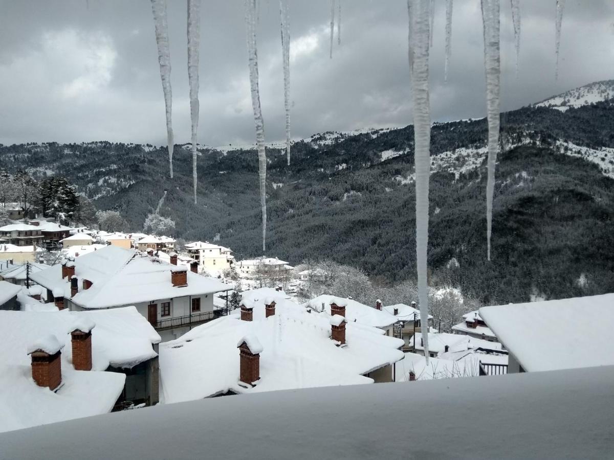 Arka Metsovo Hotel Buitenkant foto