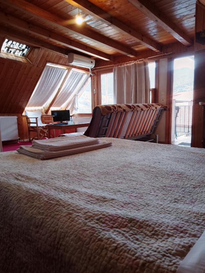 Arka Metsovo Hotel Buitenkant foto