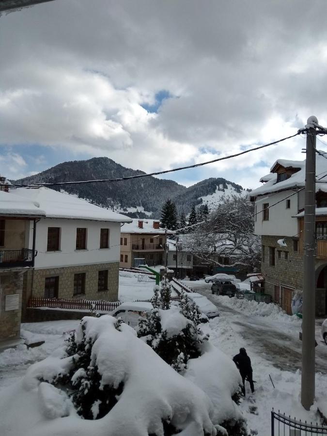 Arka Metsovo Hotel Buitenkant foto