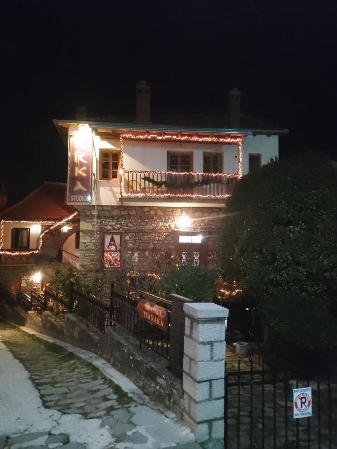 Arka Metsovo Hotel Buitenkant foto