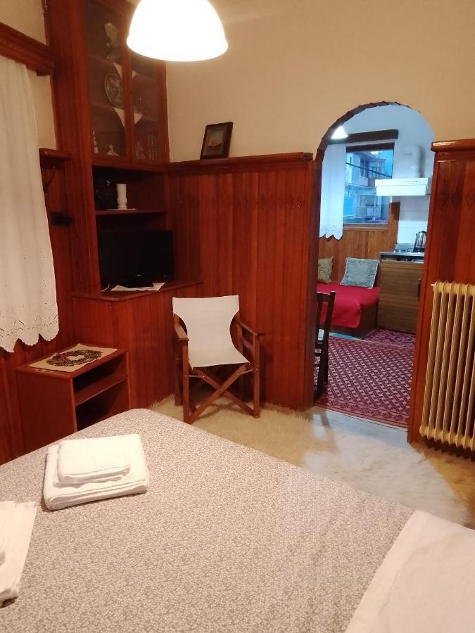 Arka Metsovo Hotel Buitenkant foto